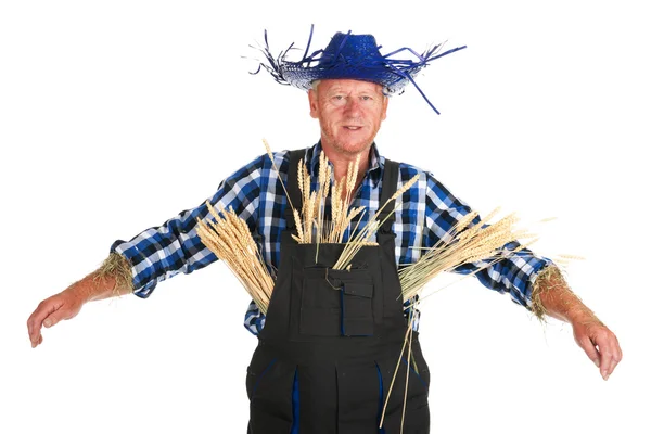 Human scarecrow — Stock Photo, Image