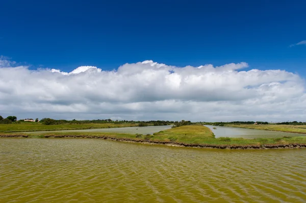 在法国的 oleron 岛盐湖 — 图库照片