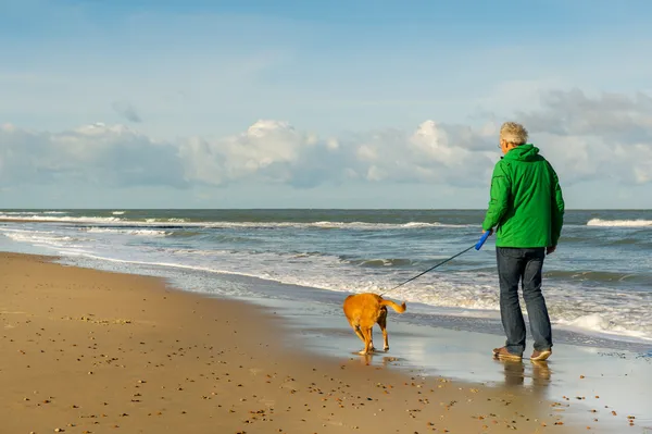 Köpek plajı ile yürüyen adam — Stok fotoğraf