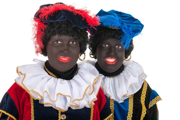 Holland fekete petes — Stock Fotó