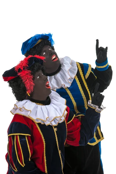 Dutch black petes pointing — Stock Photo, Image