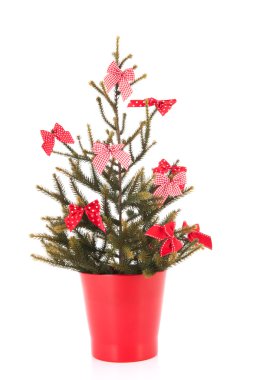 Kırmızı yılbaşı ağacı