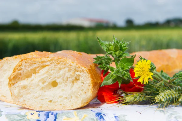 Pão fresco e espigas de cereais ao ar livre — Fotografia de Stock