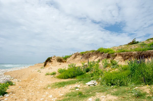 Sahil Adası oleron — Stok fotoğraf