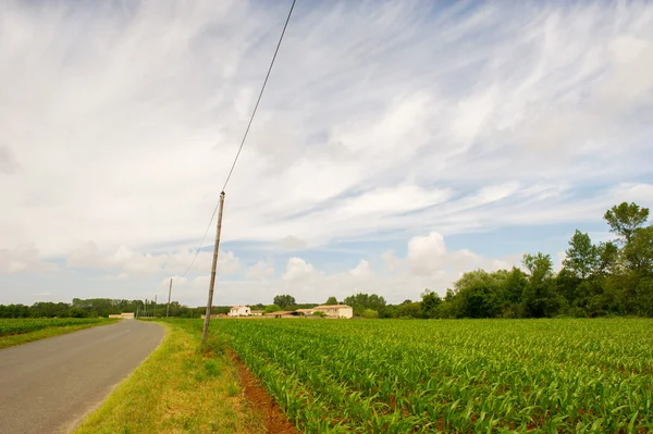 Французский пейзаж с кукурузными полями — стоковое фото