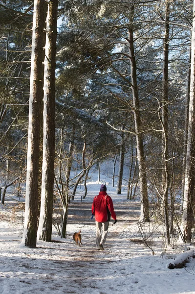 Man walking with dog in snow — Stock Photo, Image