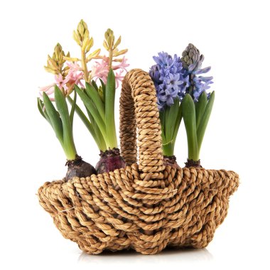 bahar çiçekleri sepeti