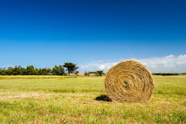 Bála széna, a mezőgazdasági táj — Stock Fotó