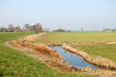 Hollanda tarım peyzaj