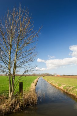 Hollanda tarım peyzaj