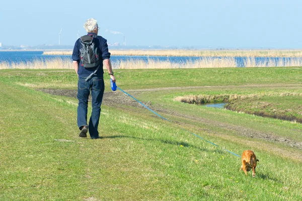 Wandelen met de hond — Stockfoto