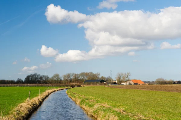 Paisagem agrícola holandesa — Fotografia de Stock