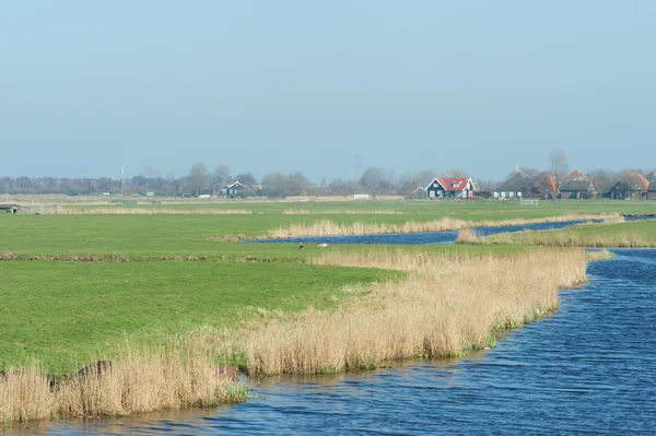 Hollands landschap — Stockfoto