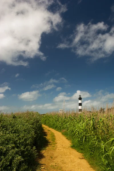Landscape and lighthouse Island Oleron in France — Stock Photo, Image