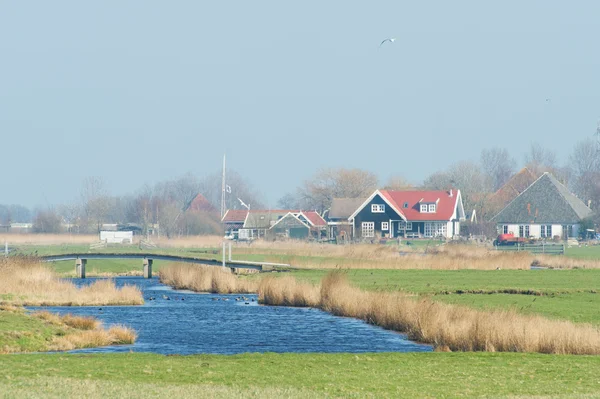 Holländska landskap — Stockfoto