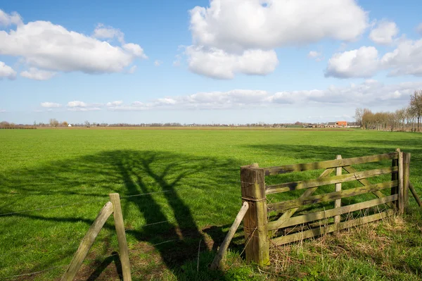 Nederländska jordbruket landskap — Stockfoto