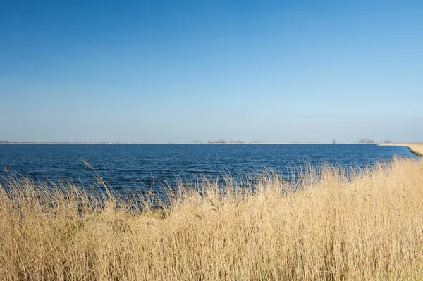 Grande lago — Fotografia de Stock