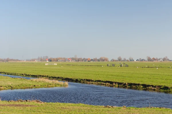 Paesaggio olandese — Foto Stock