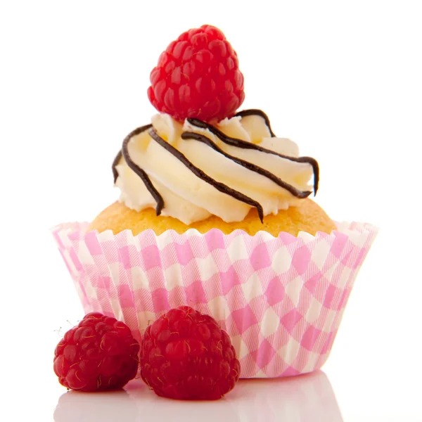 Fruit cupcake met vers fruit — Stockfoto