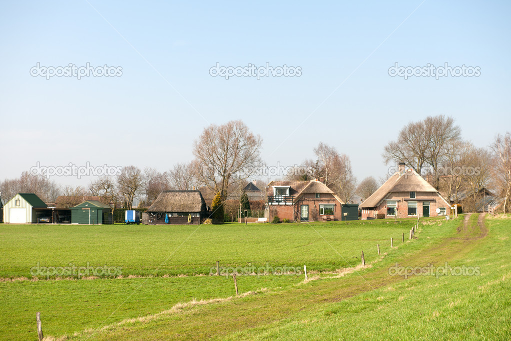 Agricultural landscape in Holland