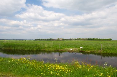 Agriculture landscape with meadows and water clipart