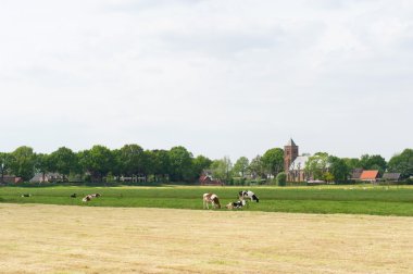 çiftlik evi ve inek ile tarım peyzaj