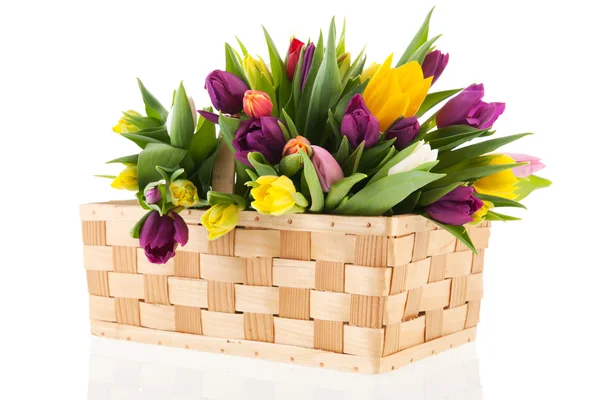 Basket tulips — Stock Photo, Image