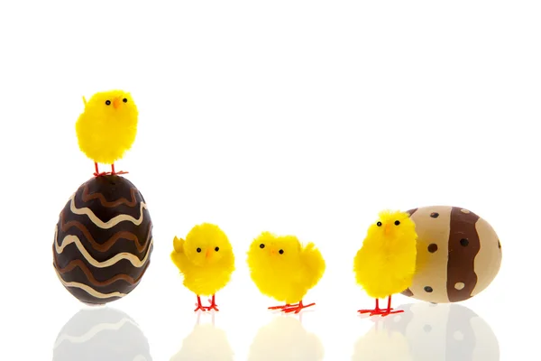 Csajok csoki tojás — Stock Fotó