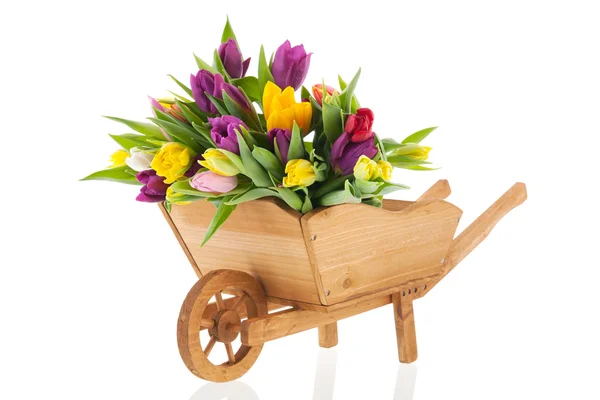 Wheel barrow full tulips — Stock Photo, Image