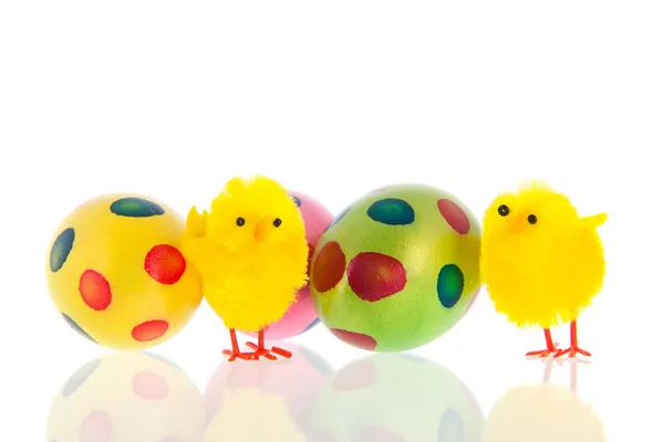Páscoa com ovos e filhotes — Fotografia de Stock