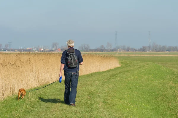 Turistika se psem — Stock fotografie