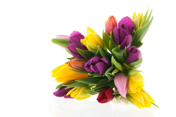 Kleurrijke boeket tulpen — Stockfoto
