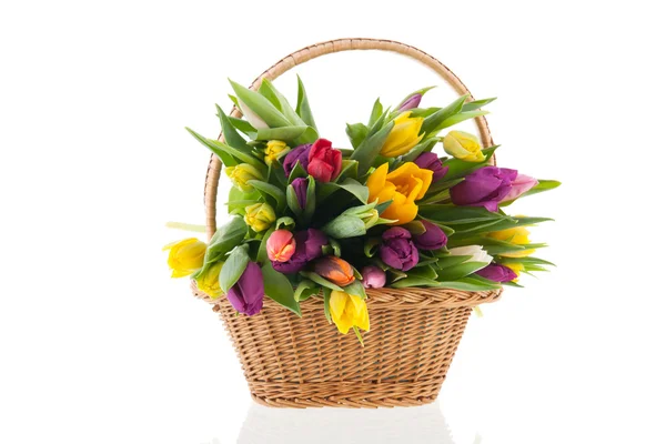 Mand tulpen met handvat — Stockfoto