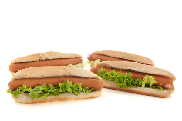Hotdogs with bread rolls — Stock Photo, Image