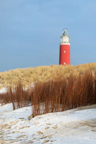 Sahil, kış — Stok fotoğraf