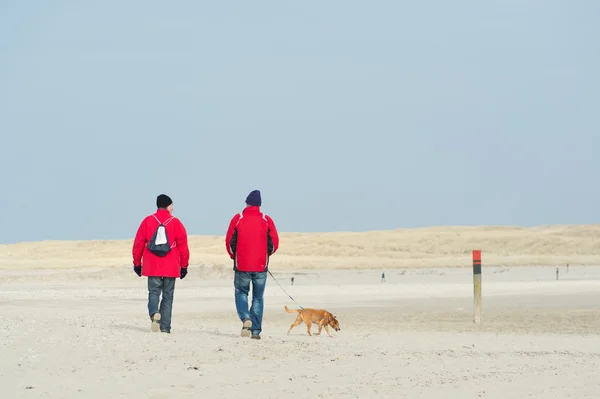 Walking near the coast — Zdjęcie stockowe