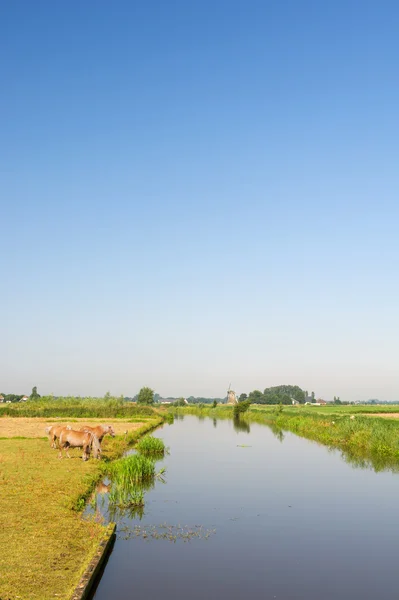 Holländische Landschaft mit Pferden Wasser und Windmühle — Stockfoto