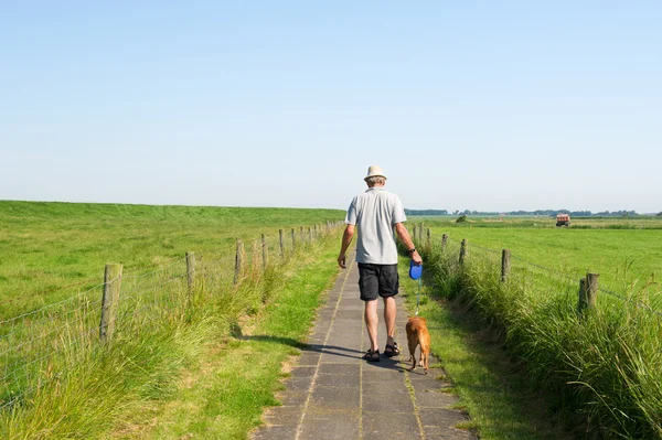 Homem caminhando o cão na paisagem de verão — Fotografia de Stock