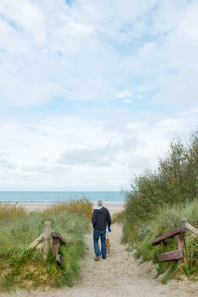 Uomo con cane sulla spiaggia olandese — Foto Stock