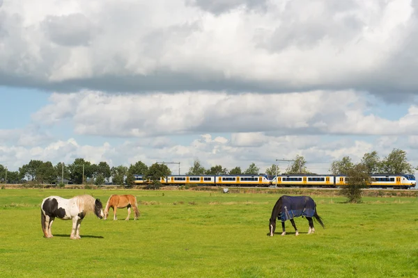 Paisaje con caballos y tren — Foto de Stock