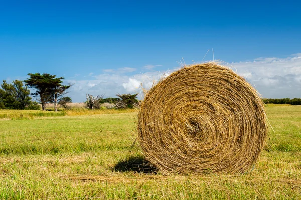 Bála széna, a mezőgazdasági táj — Stock Fotó