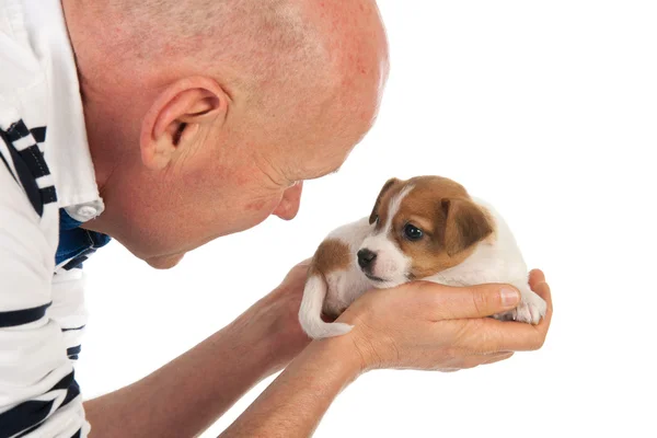 Holding cute puppy in hands — Stock Photo, Image