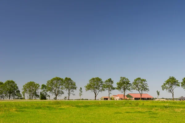 Голландский пейзаж с фермой — стоковое фото