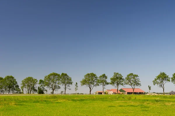 Nederlandse landschap met boerderij — Stockfoto