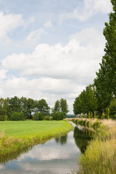 Natuur landschap met greppel en bomen — Stockfoto