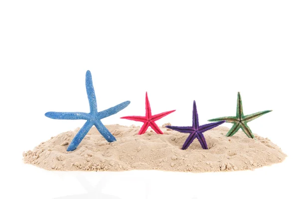 Stelle marine in spiaggia — Foto Stock