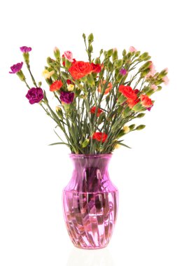 buket renkli dianthus