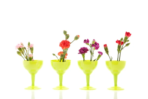 Färgglada dianthus i lilla gröna glas — Stockfoto