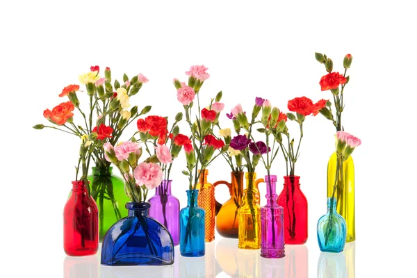 Farbenfroher Dianthus in kleinen Glasvasen — Stockfoto