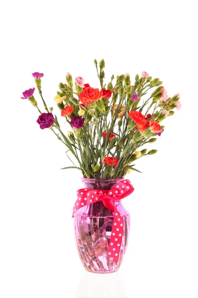 Bouquet colorful Dianthus — Stock Photo, Image